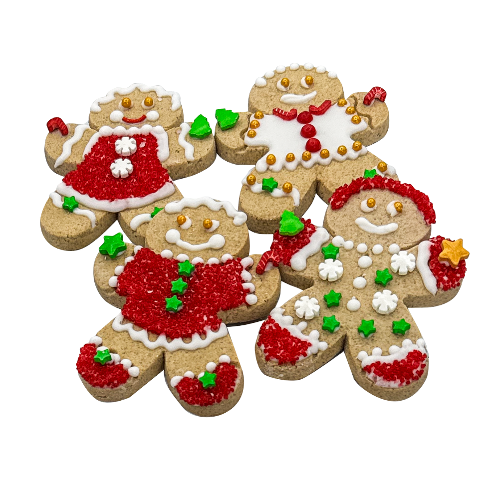 GINGERBREAD PEOPLE 6 CT. COOKIE KIT